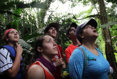 Peru Amazon Jungle tours