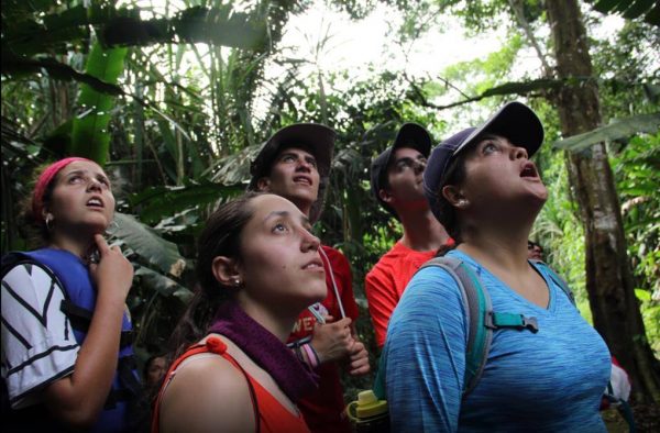 Peru Amazon Jungle tours