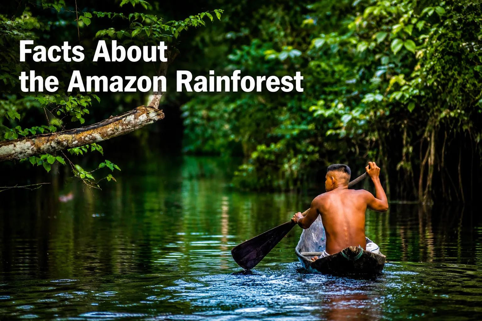 Facts About the Amazon Rainforest